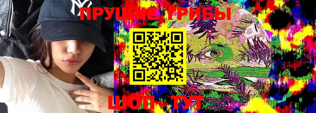 Галлюциногенные грибы прущие грибы  Галлюциногенные грибы Cubensis  цена наркотик  Вход с VPN  Заинск 